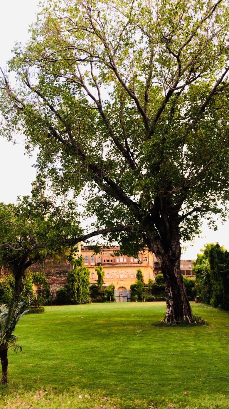 Saba Haveli Ξενοδοχείο Τζαϊπούρ Εξωτερικό φωτογραφία
